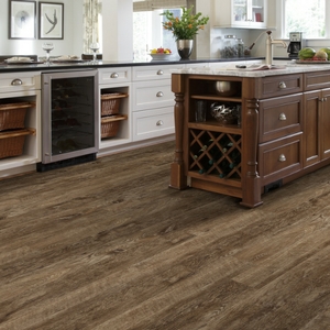 Shaw vinyl plank flooring Gainesville, FL